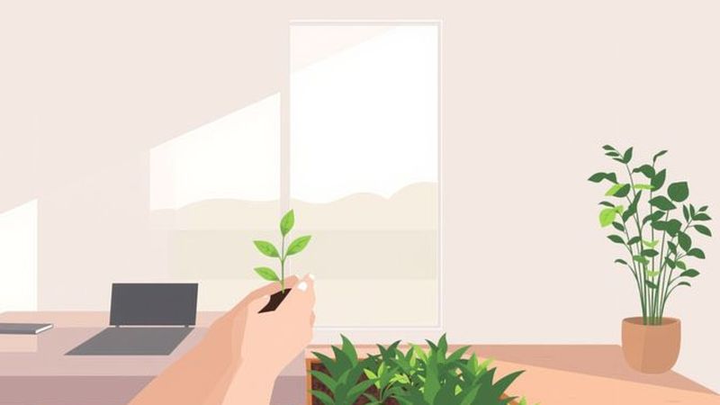Un hogar sereno irradia calma y equilibrio
